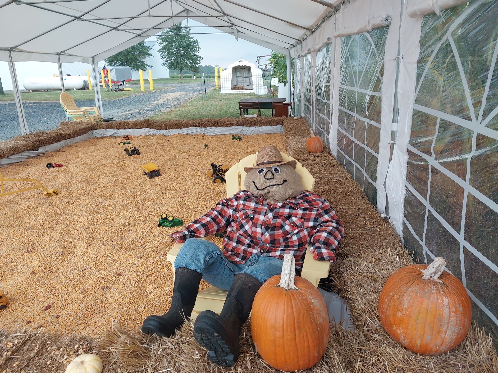 Scarecrow sitting in a yellow chair on a bed of corn kernels inside a tent, surrounded by pumpkins and toy tractors, with straw bales lining the area.