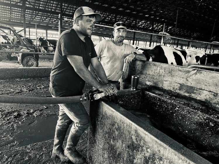 Two farmers standing near a feeding trough in a dairy barn, engaged in farm operations. The scene includes cows in the background and equipment for managing livestock. The image captures the daily life and work environment of dairy farming.
