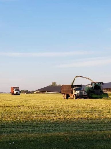 Tractors and trucks working on a sunny farm field, with one truck loading harvested crops and another truck in the background, under a clear blue sky.