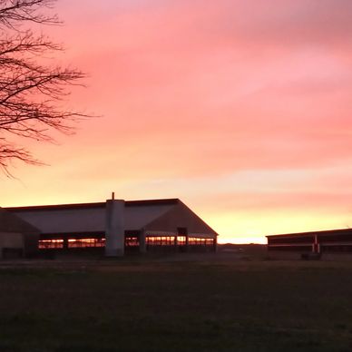 Sunset over agricultural buildings with vibrant pink and orange sky, showcasing a tranquil rural landscape.